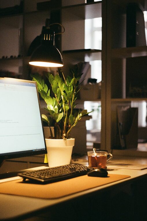Consejos prácticos para organizar un espacio de trabajo en casa eficiente y cómodo